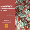 Strings